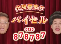 バイセルはなはなはな