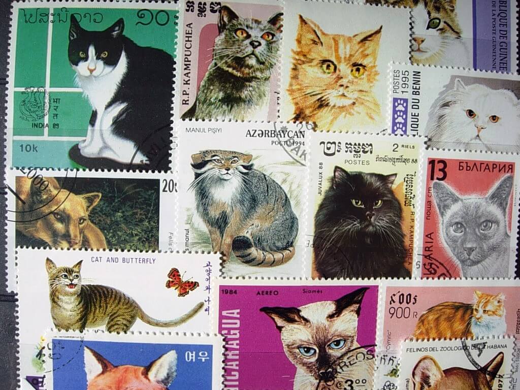 中国切手の「パンダ」はプレミア切手って本当？動物系切手の買取相場